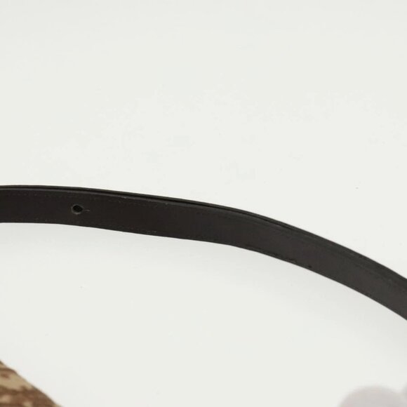 Christian Dior Trotter Canvas Shoulder Bag Gold Brown - Picture 8 of 15